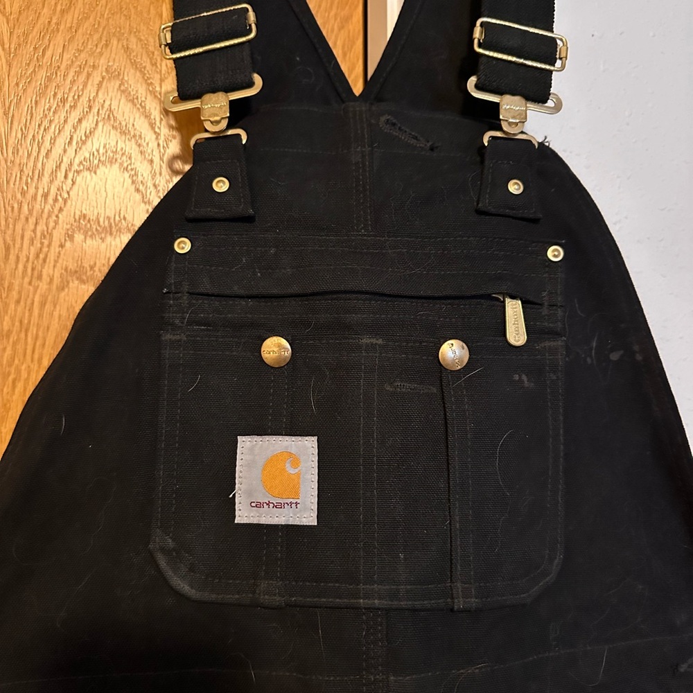 Carhartt Men’s Bibs
